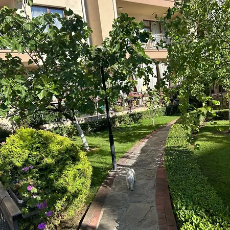 Sorrento E 24 * Sveti Vlas