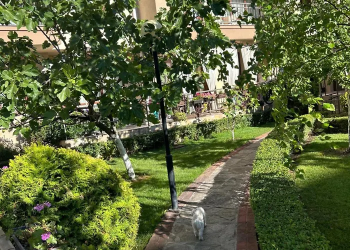 Sorrento E 24 * Szveti Vlasz